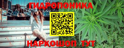 твердый Владикавказ