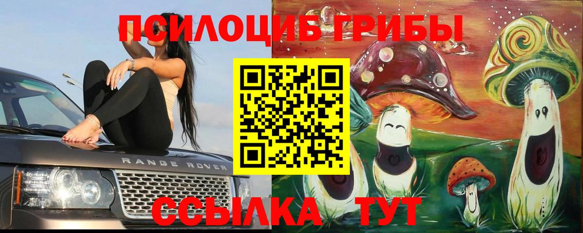 Псилоцибиновые грибы Cubensis Новочеркасск