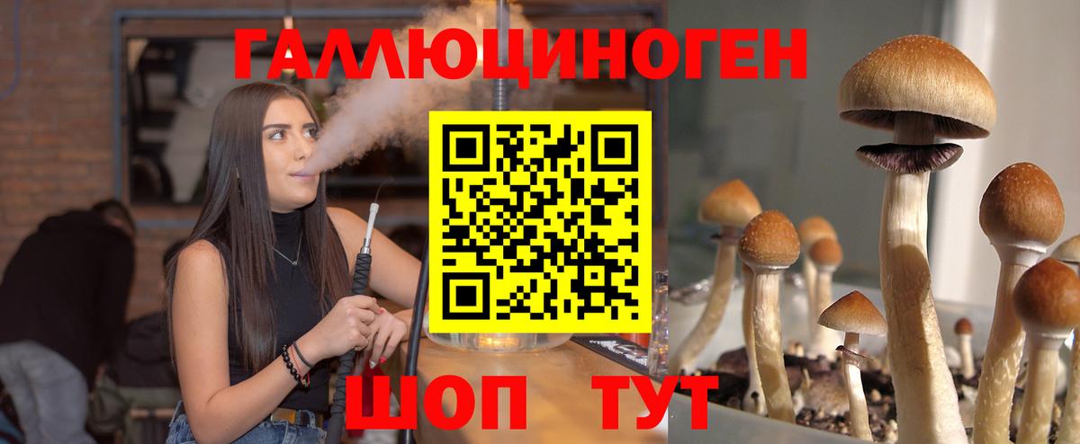 Псилоцибиновые грибы MAGIC MUSHROOMS  Вход с VPN  Новочеркасск  Псилоцибиновые грибы Psilocybe 